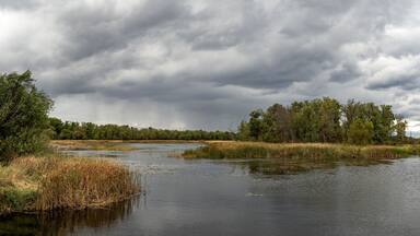 beautiful autumn landscape scenery with colors water clouds trees and grass