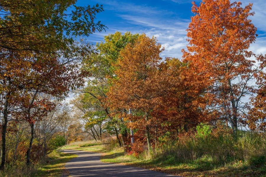 autumn trail, bunker hills regional park, minnesota