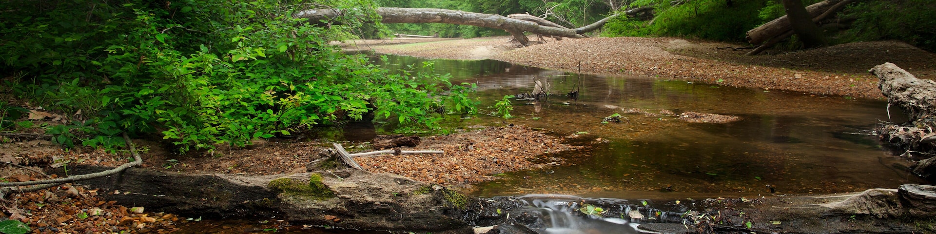 Little Sandy Creek, Rocky Springs, Natchez Trace Parkway, Tennessee and Mississippi, USA