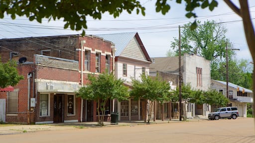 Port Gibson ofreciendo una pequeña ciudad o pueblo
