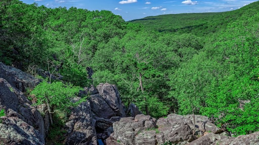 Ozark Mountains from Minne Sauk Falls ,on the Ozark Trail, Taum Sauk Mountain State Park, Missouri, USA