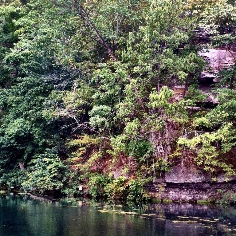 Tree lined bluff along Roaring River