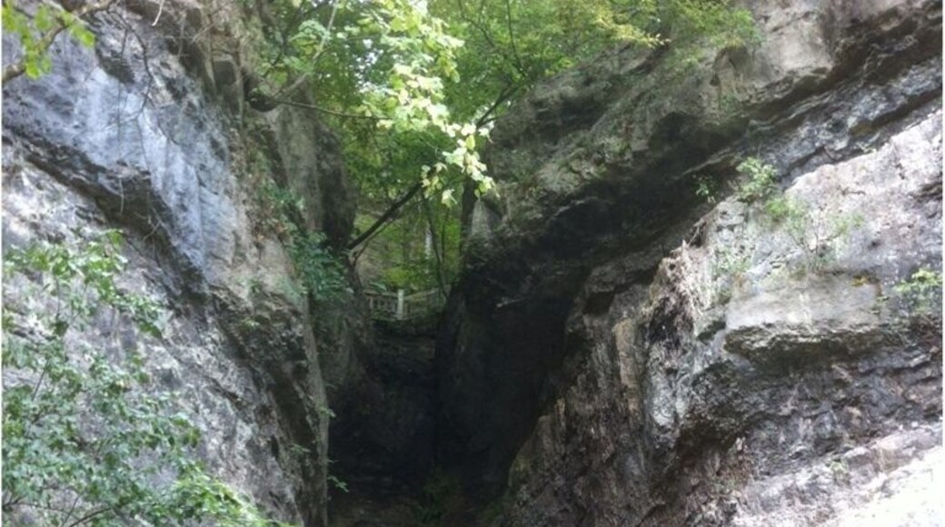 Roaring River State Park