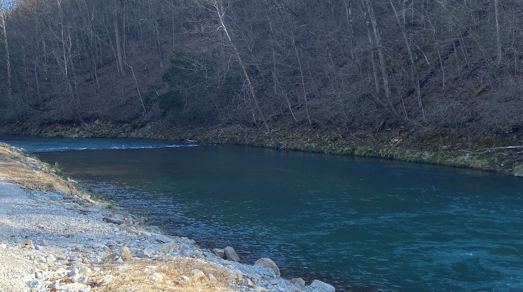Roaring River State Park #missouri #ozarks #stateparks