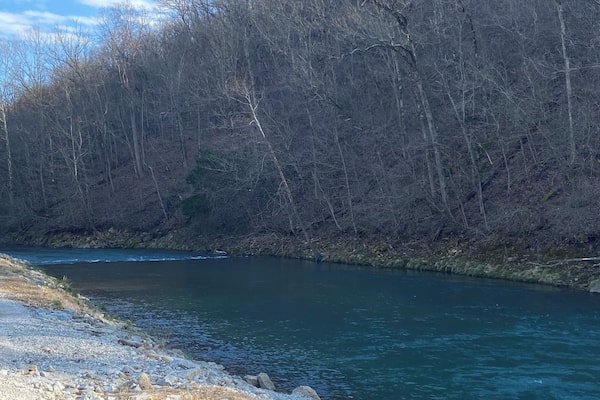 A river flowing through a forested area with rocky banks.