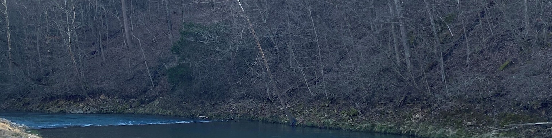 Ein Fluss fließt durch ein bewaldetes Gebiet mit steinernen Ufern.