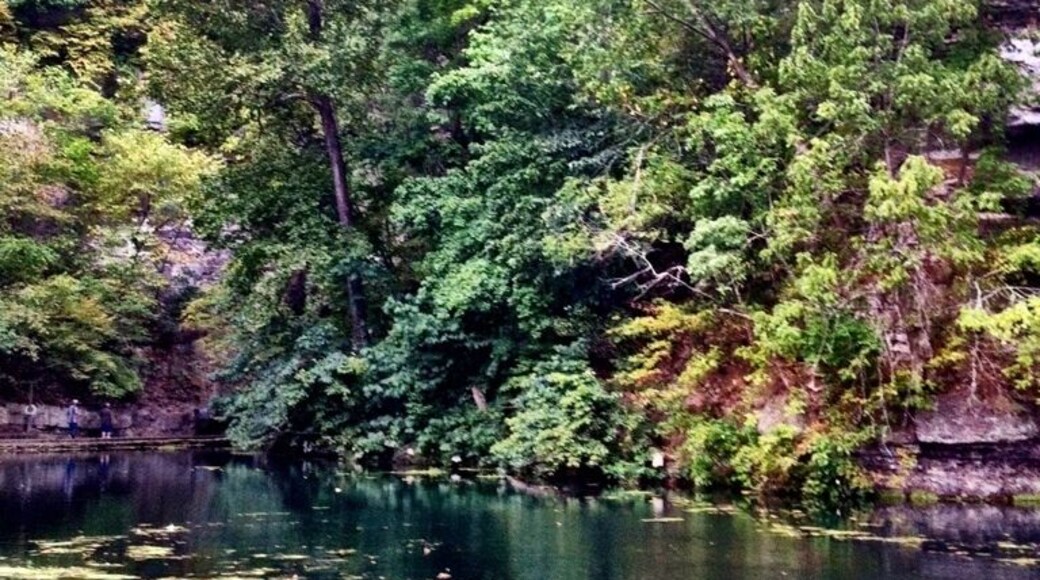 Roaring River State Park. Note the observation deck at the top of the bluff