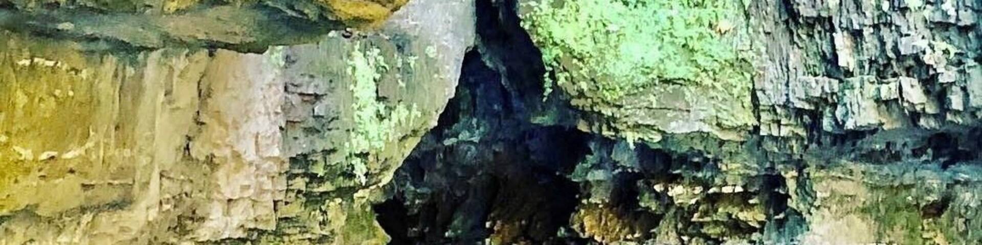 Roaring River State Park is a definite must-see if visiting Missouri #missouri #ozarks