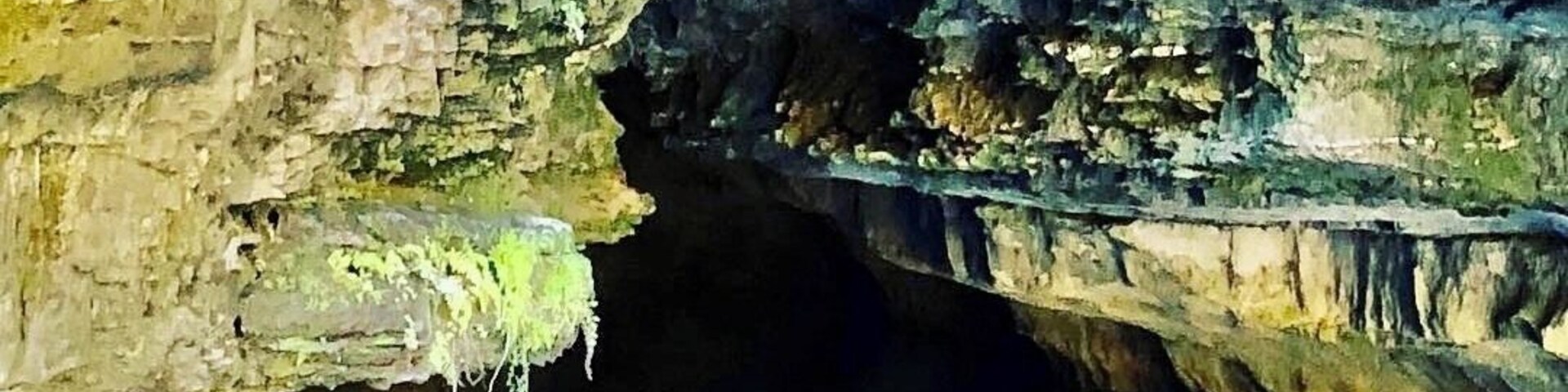 Roaring River State Park is a definite must-see if visiting Missouri #missouri #ozarks