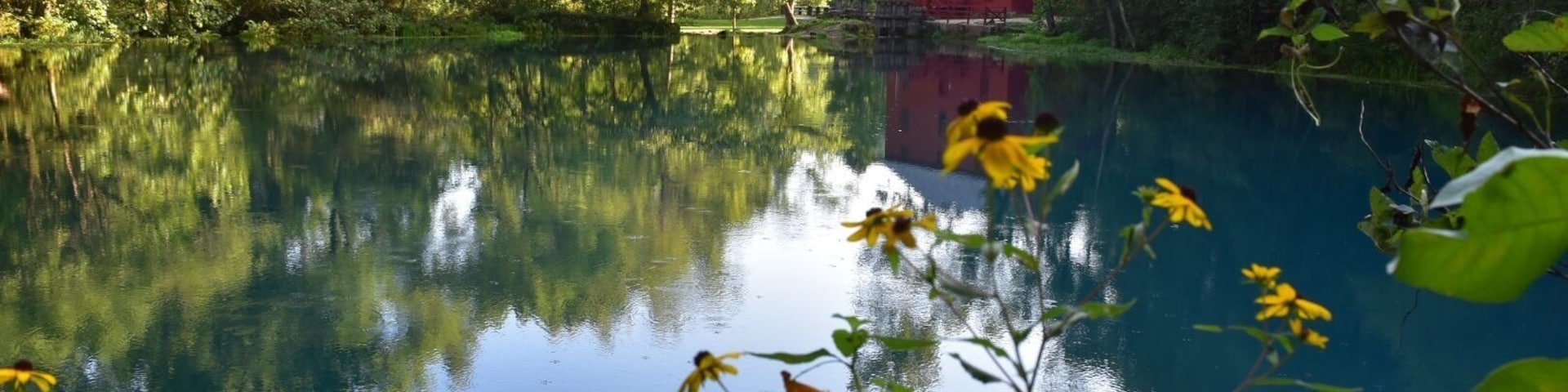 Stopped for a picnic lunch at Alley Springs in Eminence Missouri, then decided to walk the dog for a bit. This place is amazing. There's a couple of short hiking trails, one about a mile long (around the spring) and the other 1.5 mi in the other direction. The water is crystal clear and everywhere you look is gorgeous.
#AquaTrove #roadtrip #takeahike