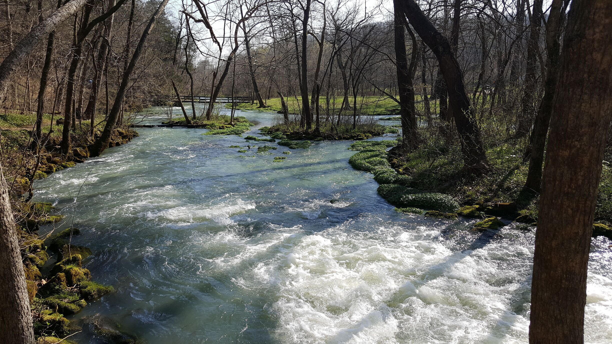 Alley Springs MO. #lifeatexpedia