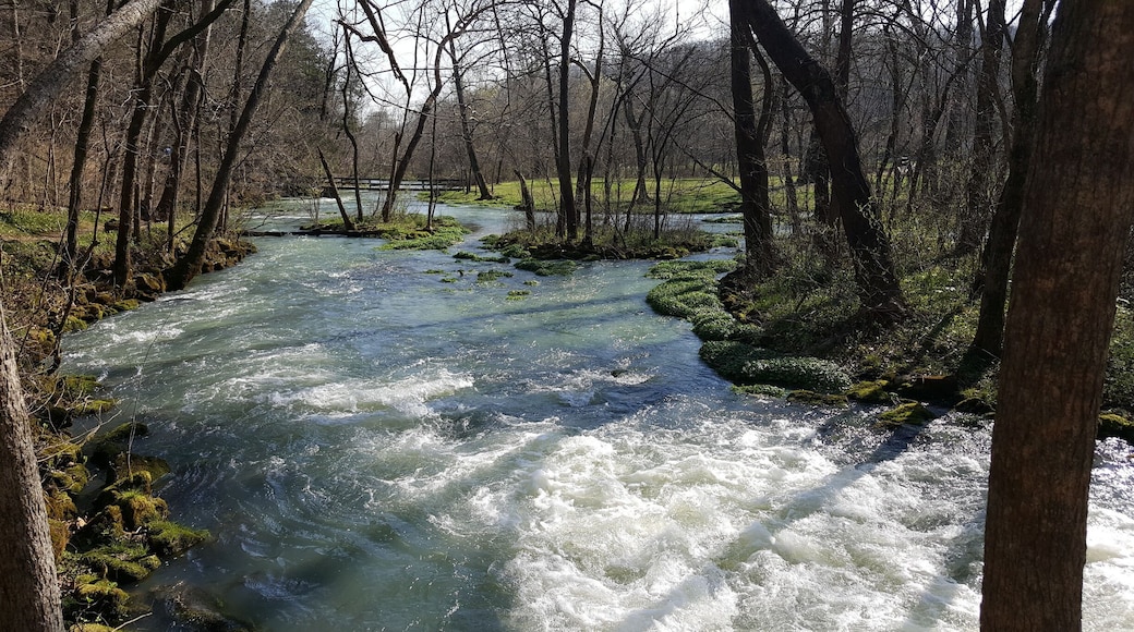 Alley Springs MO. #lifeatexpedia