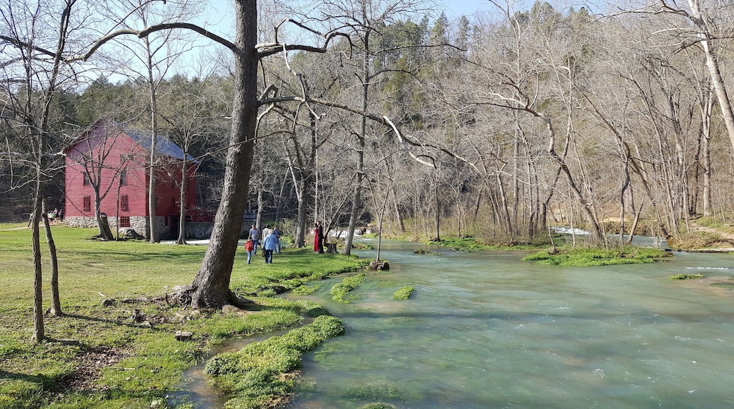 Gorgeous day at Alley Springs MO. There was a river otter swimming along the banks. #lifeatexpedia