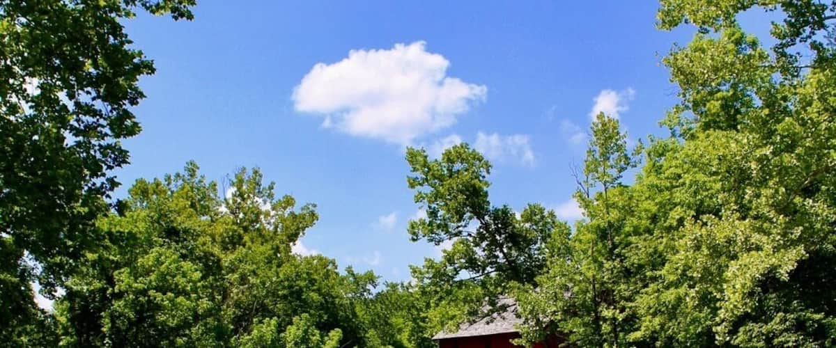 Alley Spring
This is a beautiful part of the country. Deep valleys, tall rolling hills, beautiful trees. The mill sets back off the road a bit. When you cross the bridge to approach the mill, the temperature drops considerably because of the cold spring. Such a stunning location.
Alley Spring is located at the foot of a picturesque limestone bluff. The beautiful red Alley Mill is located on its bank, utilizing its perennial flow of water to operate its turbine powered flour mills. The spring has an average daily flow of 81 million gallons of water. During most times the water is a placid azure blue, gently welling up from below, but after a storm has swelled the underground conduits feeding the spring, it can gush forth in angry swells and splashes of brown.
The Alley Spring Roller Mill, also known as Red Mill, is a historic grist mill located in the Ozark National Scenic Riverways near Eminence, Shannon County, Missouri. It was built in 1893, and is a 2 1/2-story, rectangular frame building on a limestone block foundation. It measures 32 feet by 42 feet and houses four steel rollers and a single stone burr.
You can tour the mill. The equipment is still inside and the Park Rangers are incredibly knowledgeable!
It was listed on the National Register of Historic Places in 1981.
(Alley Mill is located six miles west of Eminence, Mo on State Route 106)
#LIFEATEXPEDIA #OZARKS #ALLEYSPRING #WATERMILL #NATIONALPARKSERVICE #STAYCATION #IHEARTTRAVEL