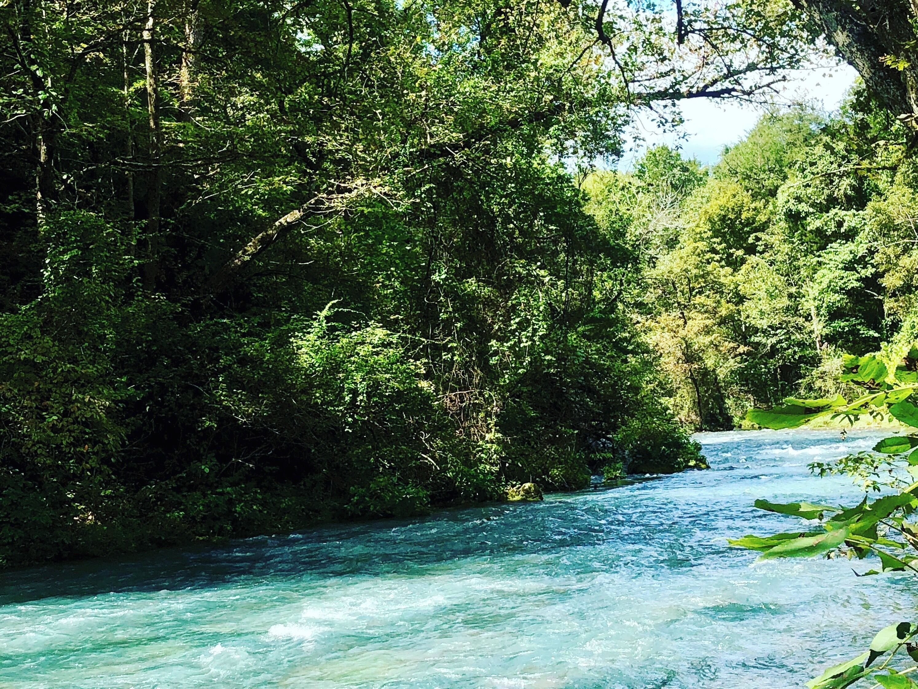 Blue Spring near Eminence, Missouri. Part of the Ozark Scenic Riverways 
#missouri #ozarkscenicriverways  #eminence