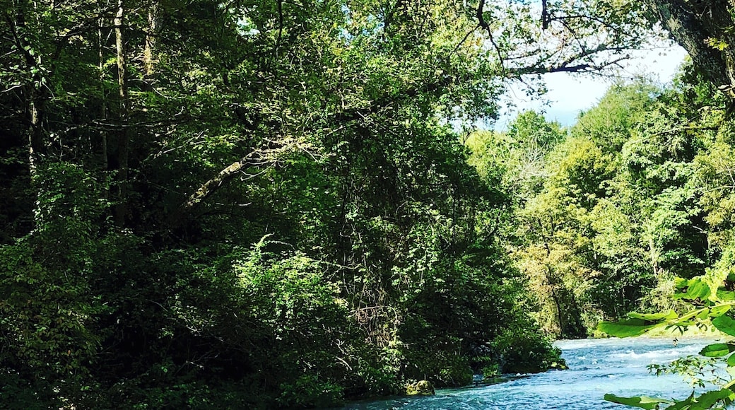 Blue Spring near Eminence, Missouri. Part of the Ozark Scenic Riverways
#missouri #ozarkscenicriverways #eminence
