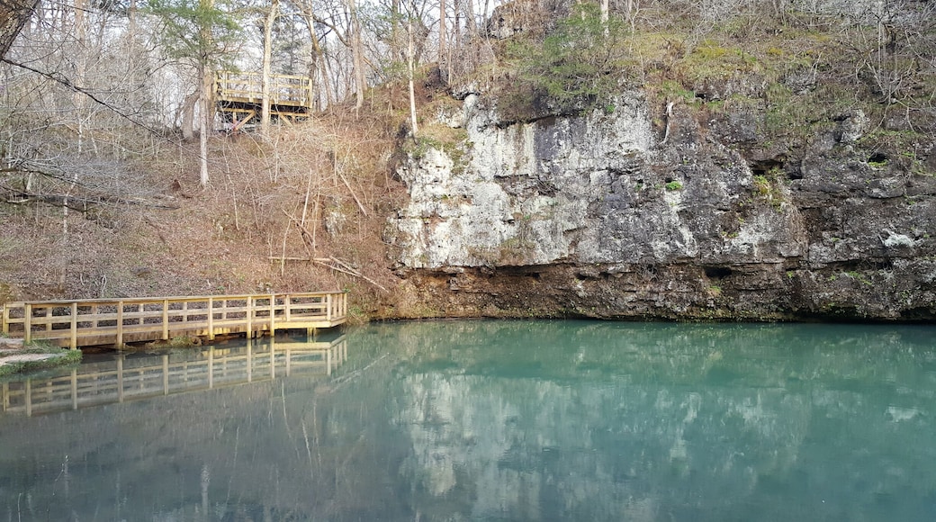 This is Blue Spring near Eminence MO. 81 Million Gallons of water comes out of the spring daily. #lifeatexpedia