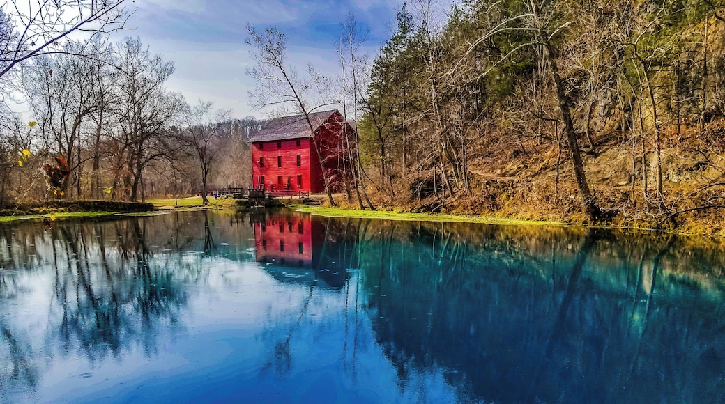 This spring water is crystal clear and blue for as far down as you can see. The green moss/algae that grows along the spring gives it an even more crisp color range. The old red mill is also an added bonus! There are some great hiking trails along at this park as well as camping and a launch area for floating the North Fork river. #Nature
#Trovember