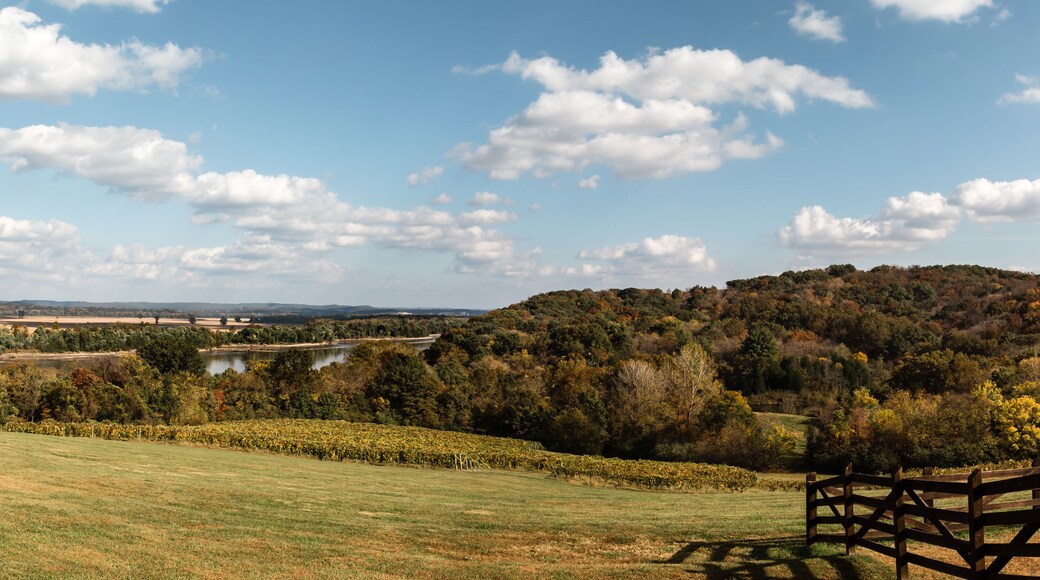 Bluffs along the Missouri River near Hermann, Mo.
