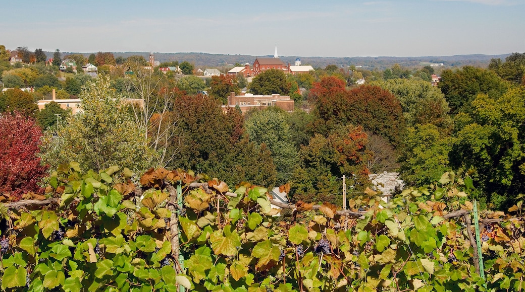 Fall view of Hermann, MO, from the Stone Hill Winery.