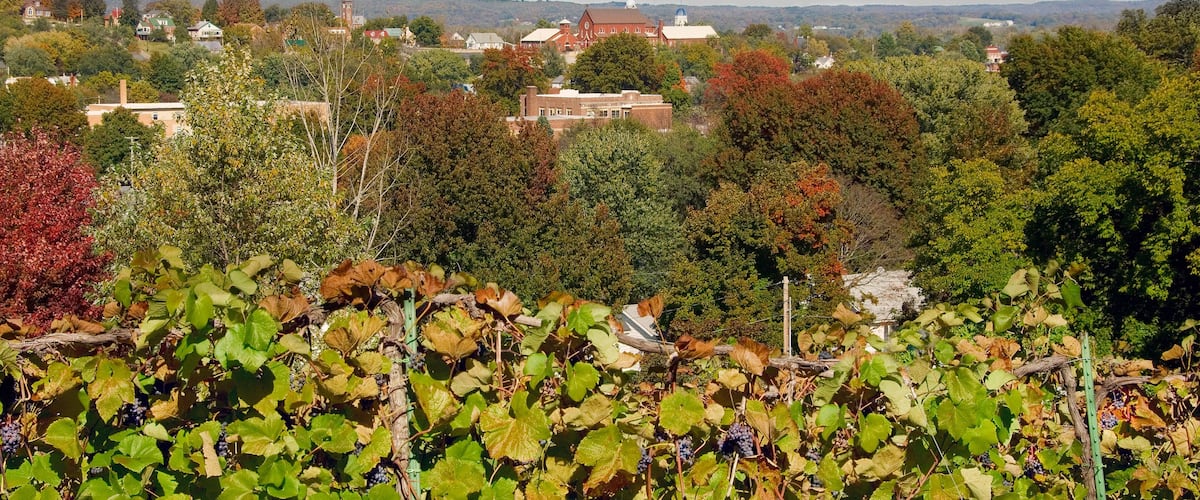Fall view of Hermann, MO, from the Stone Hill Winery.