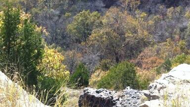 Fall in the Ozarks. Taken on the Big Piney Trail in the Paddy Creek Wilderness area in Missouri