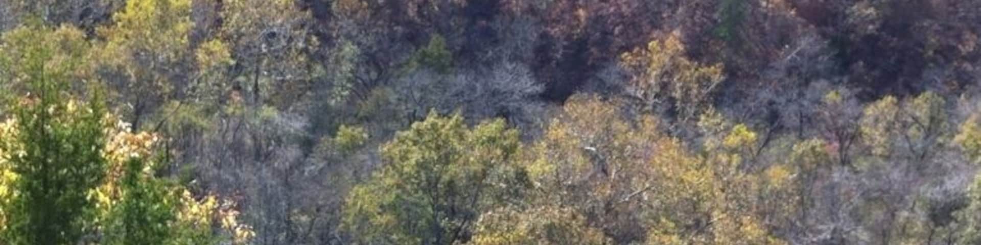 Fall in the Ozarks. Taken on the Big Piney Trail in the Paddy Creek Wilderness area in Missouri