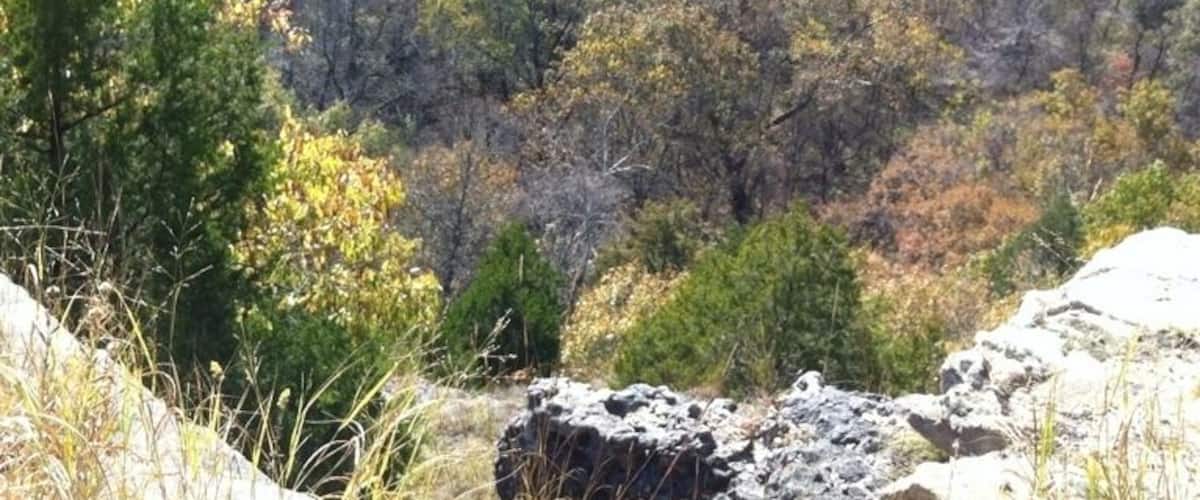 Fall in the Ozarks. Taken on the Big Piney Trail in the Paddy Creek Wilderness area in Missouri
