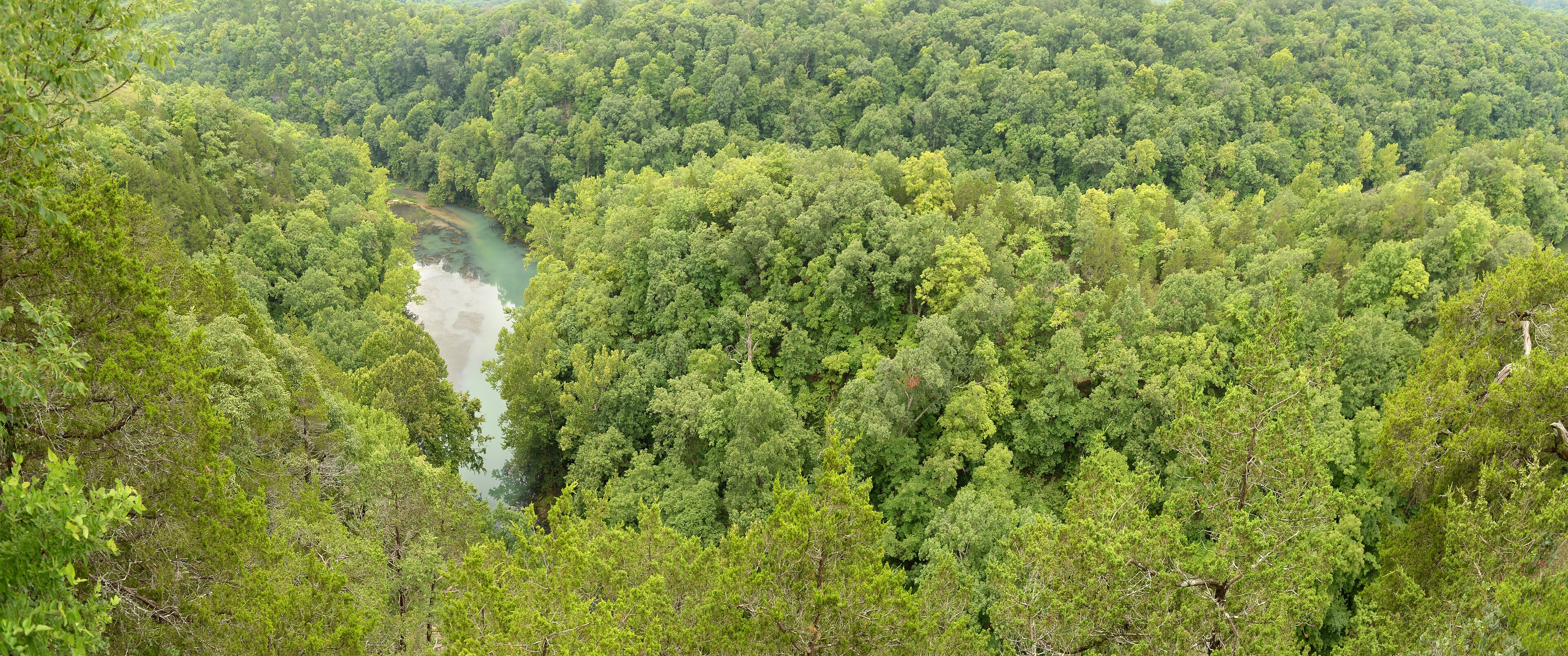 Woods at the Lake of the Ozarks