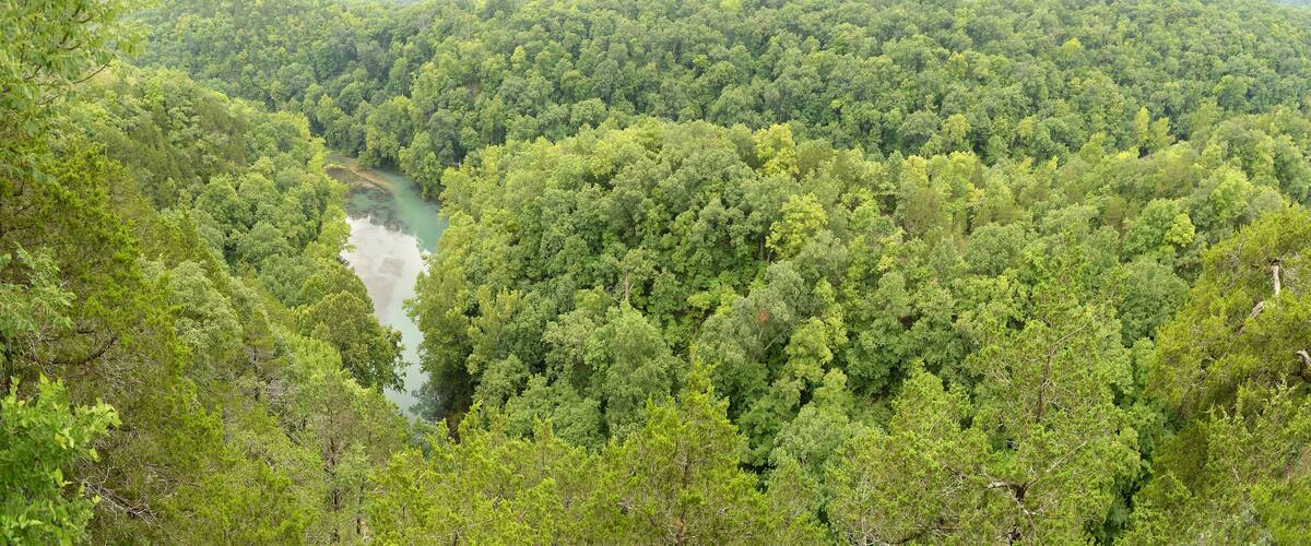 Woods at the Lake of the Ozarks