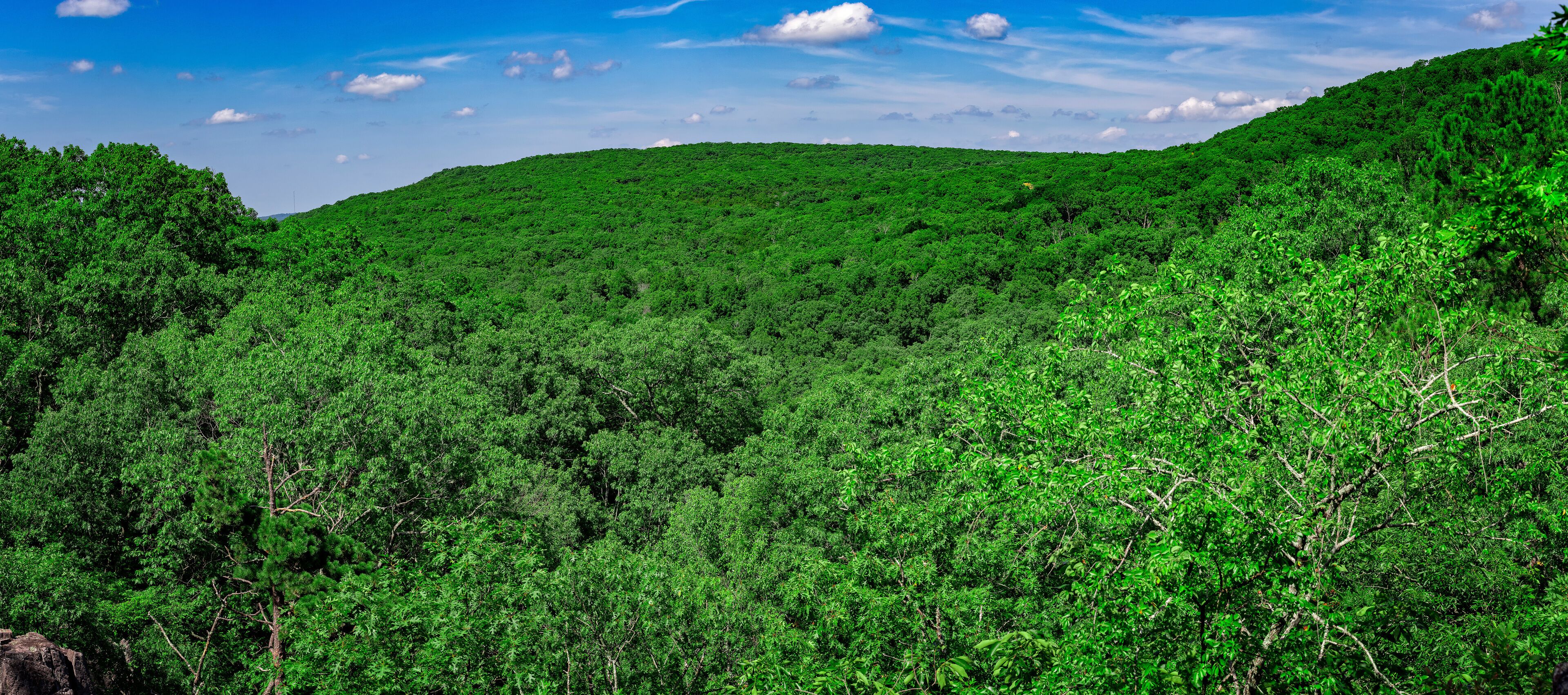 View from Minne Sauk Falls, on the Ozark Trail, in Taum Sauk Mountain State Park, Missouri, USA