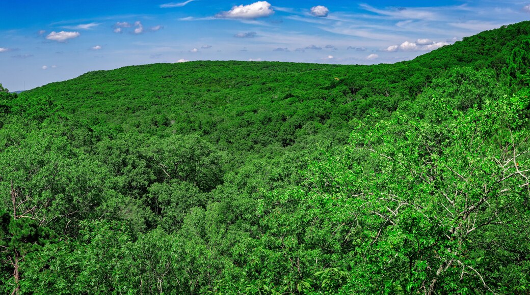 View from Minne Sauk Falls, on the Ozark Trail, in Taum Sauk Mountain State Park, Missouri, USA