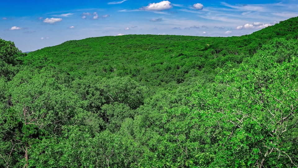 A dense forested mountain range with a clear sky.