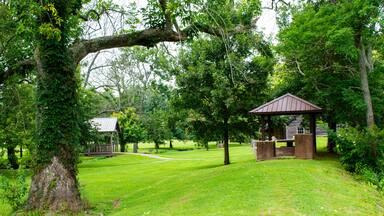Qauint picnic area full of greenery