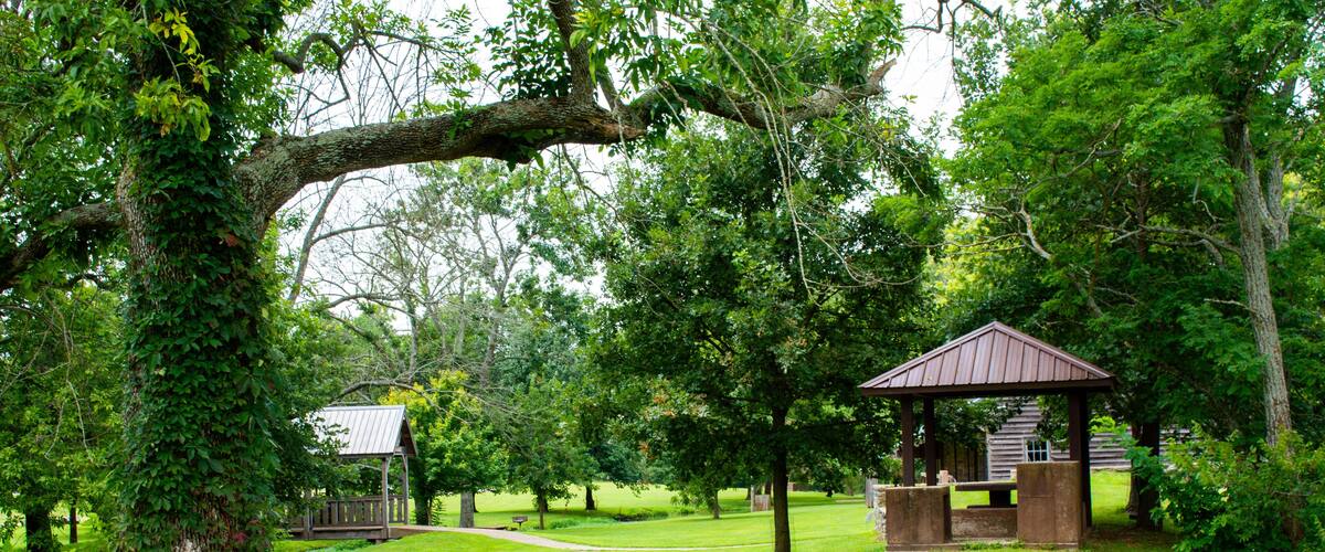 Qauint picnic area full of greenery