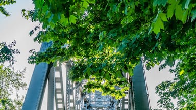A pedestrian bridge with a metal truss structure, surrounded by green foliage.