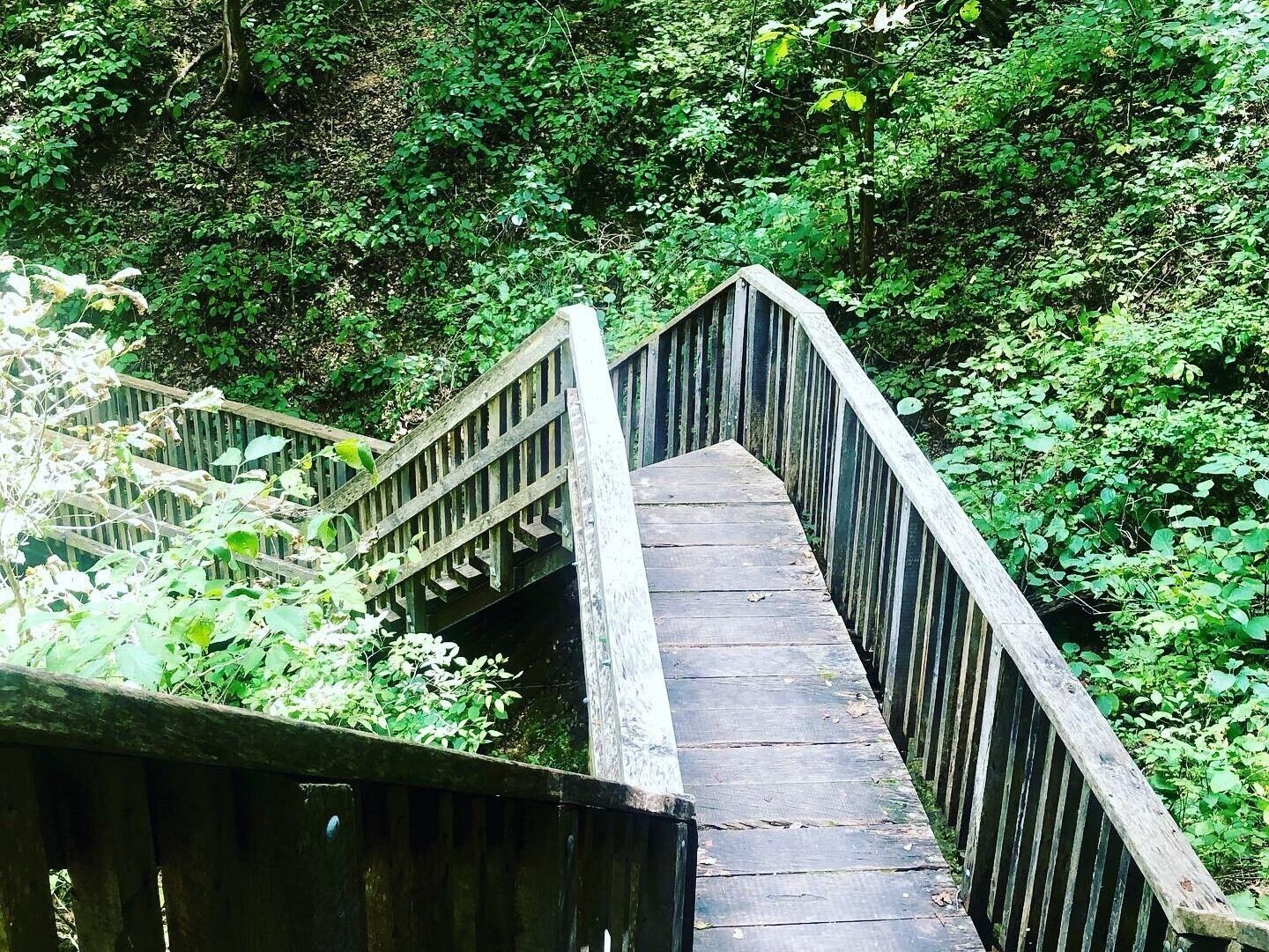 The stairs to Devil’s Well #missouri #ozarks #ozarkscenicriverways