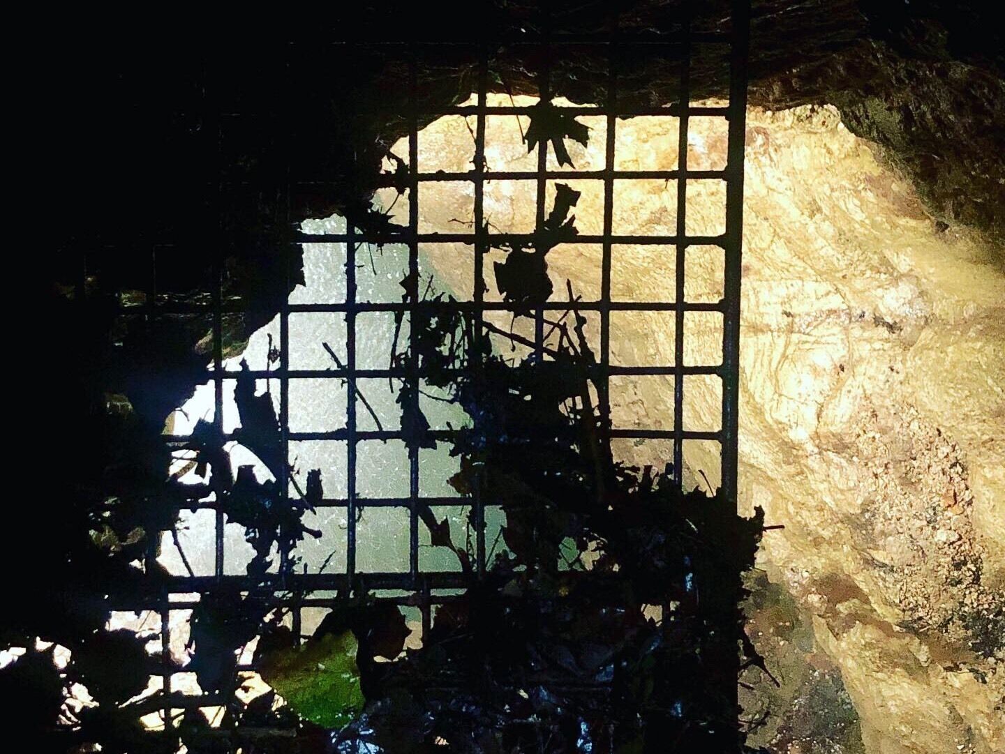 A peek into Devils Well #missouri #ozarks #ozarkscenicriverways