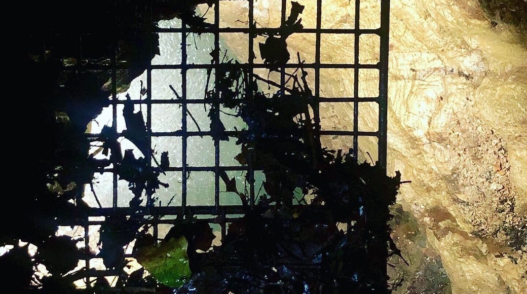 A peek into Devils Well #missouri #ozarks #ozarkscenicriverways