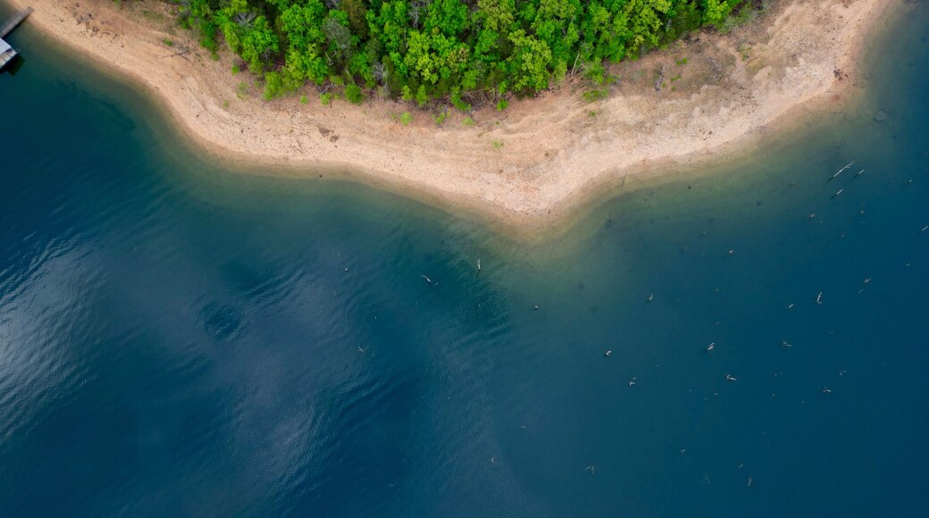 Aerial view of lake shoreline