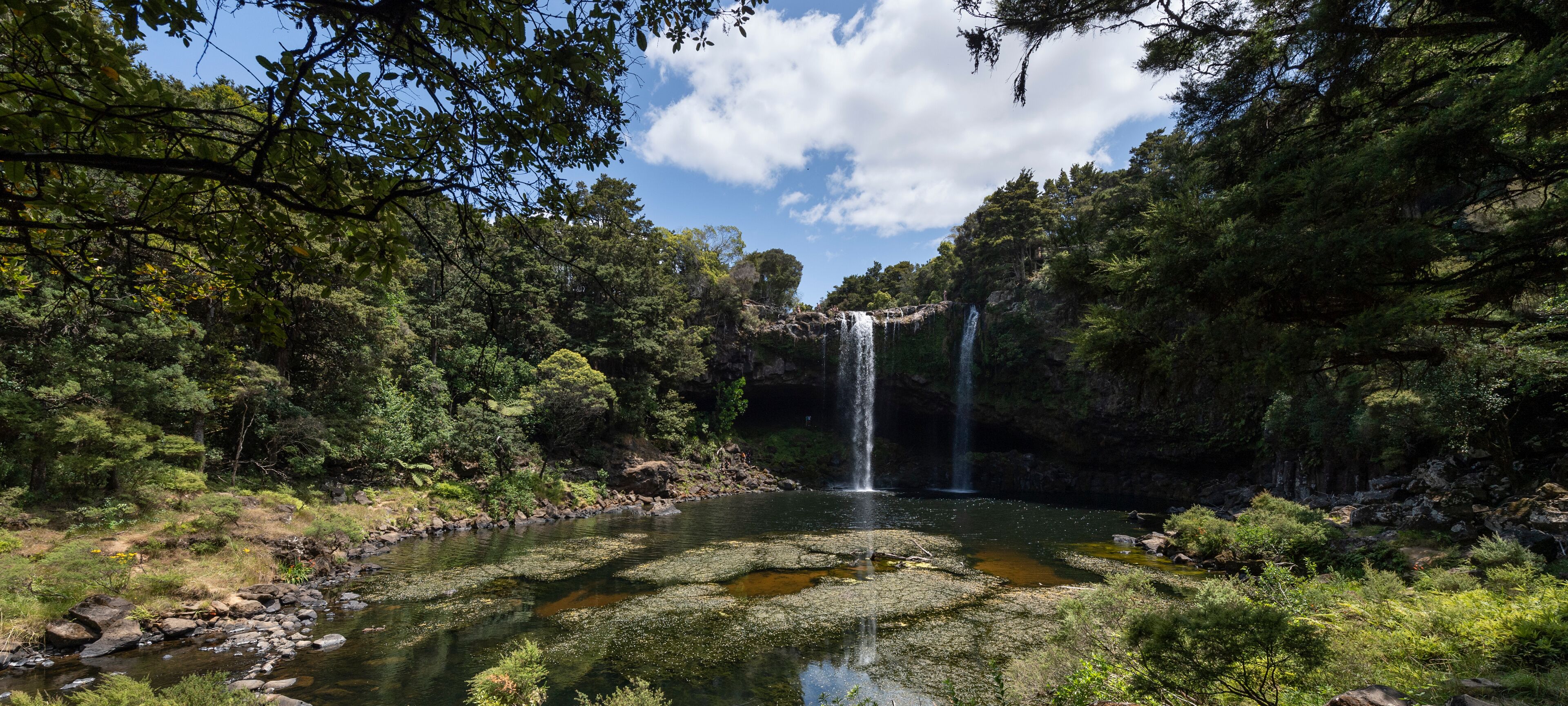 A waterfall cascading into a clear pond surrounded by dense forest.