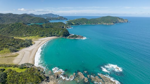 A coastal landscape with a sandy beach, turquoise waters, and green hills.