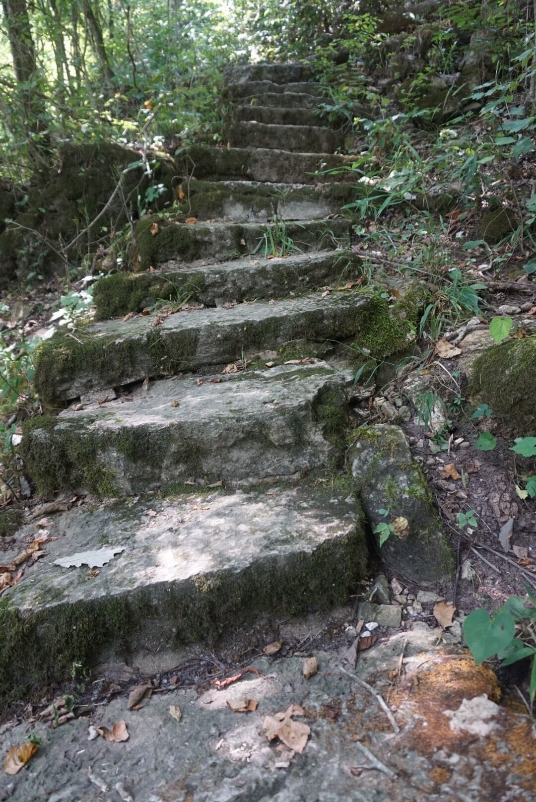 Big Spring in Mark Twain National Forest. Half mile trail around the spring contains some awesome photo ops! #steps #trails #spring #missouri