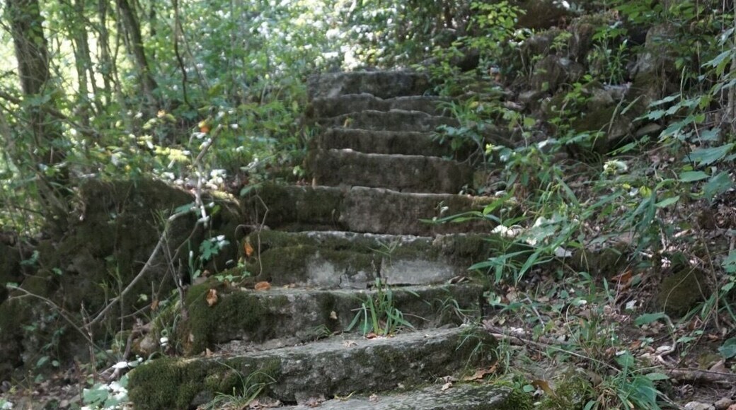 Big Spring in Mark Twain National Forest. Half mile trail around the spring contains some awesome photo ops! #steps #trails #spring #missouri