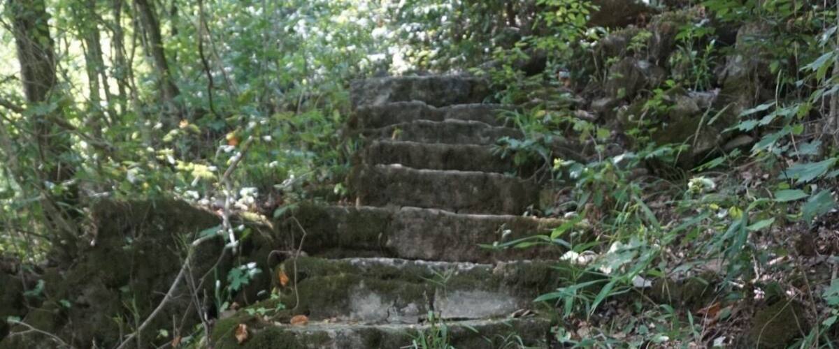 Big Spring in Mark Twain National Forest. Half mile trail around the spring contains some awesome photo ops! #steps #trails #spring #missouri