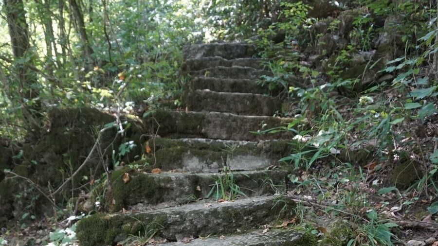 Big Spring in Mark Twain National Forest. Half mile trail around the spring contains some awesome photo ops! #steps #trails #spring #missouri