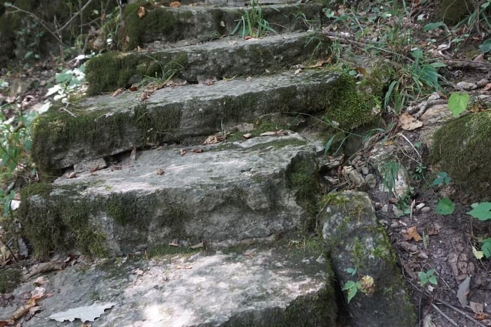 Un conjunto de escalones de piedra en una zona boscosa, rodeados de musgo y vegetación.