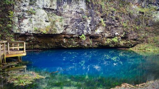 This #bluespring in southern #missouri is a gem! I've never seen anything so blue. #frattography
