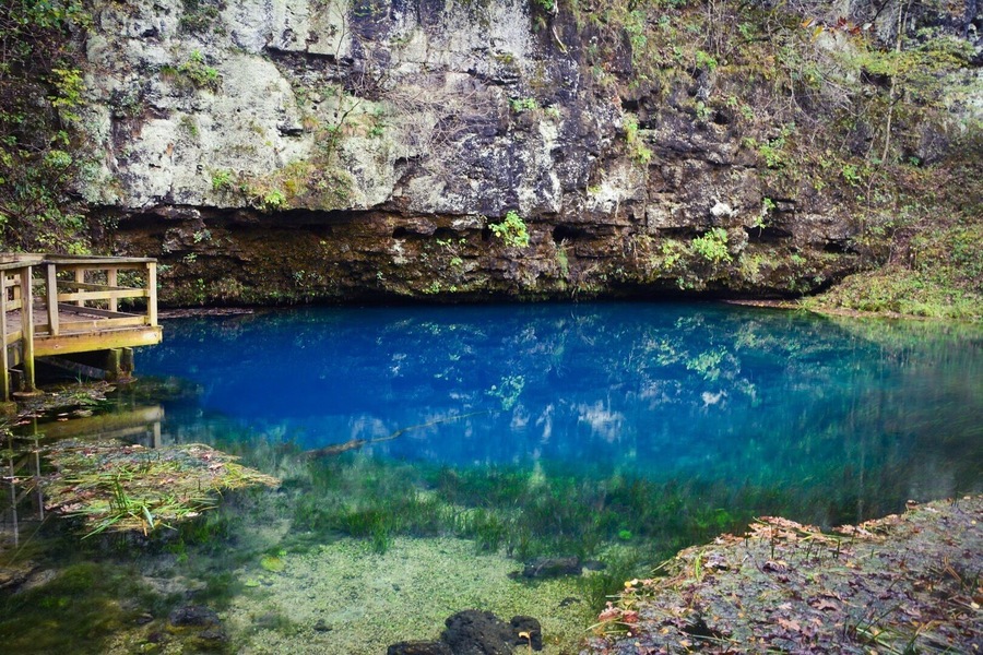 This #bluespring in southern #missouri is a gem! I've never seen anything so blue. #frattography