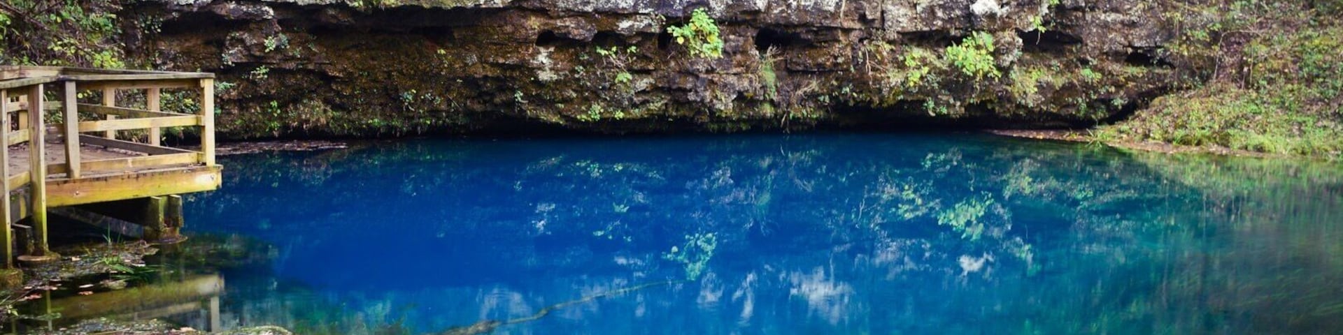 This #bluespring in southern #missouri is a gem! I've never seen anything so blue. #frattography